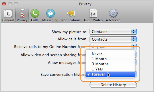 Save conversation history options